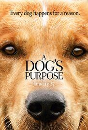 Premise of "A Dog's Purpose" May Give Some Viewers Paws